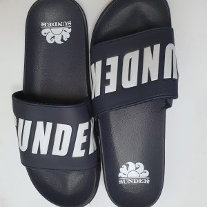 AM339ASPV100 BLUE scaled